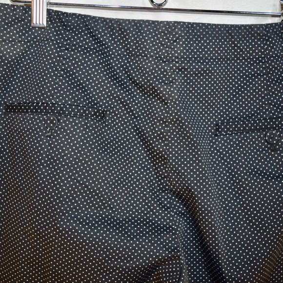Talbots Size 12 | Black White Micro Dot Swiss Dot Ankle Crop Pants | Career - Picture 2 of 6